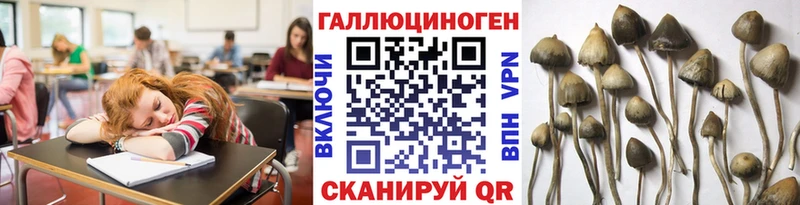 Галлюциногенные грибы Cubensis  Купить  Канск 